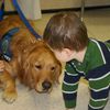 Photos: Adorable Comfort Dogs Help Newtown Children After Tragedy